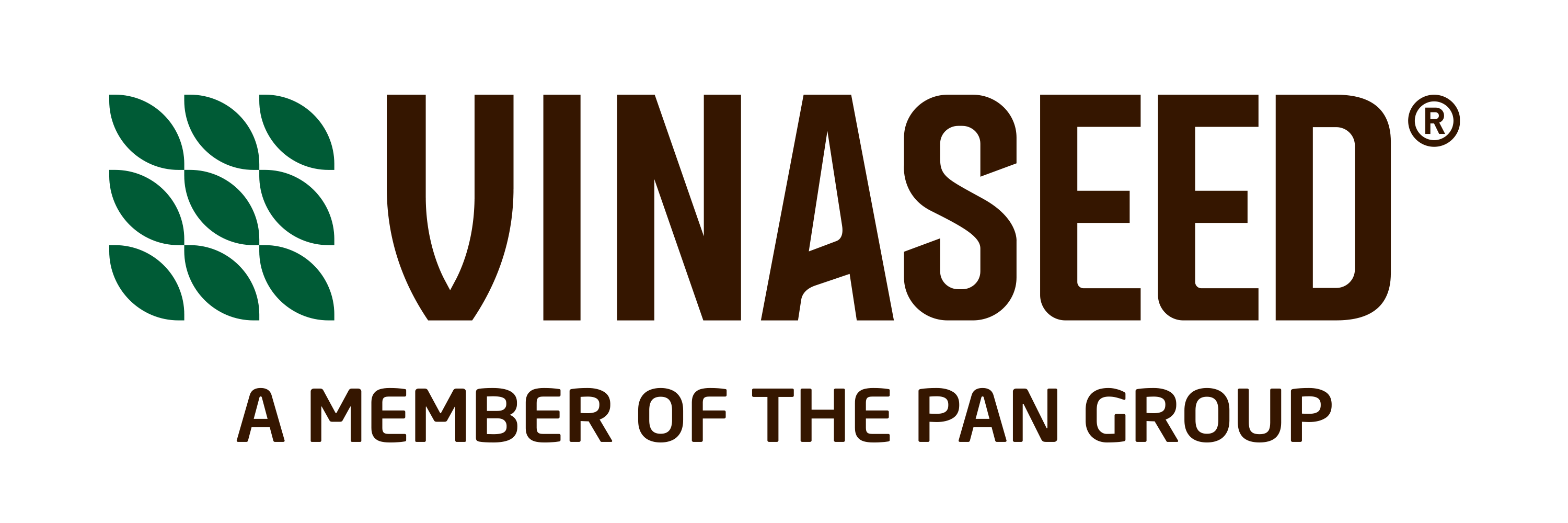 Vinaseed Logo